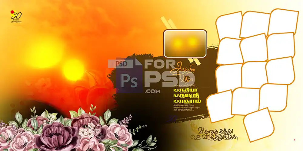 Image Preview